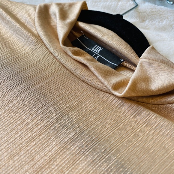 Rose Gold Sheen Dress - Picture 3 of 4